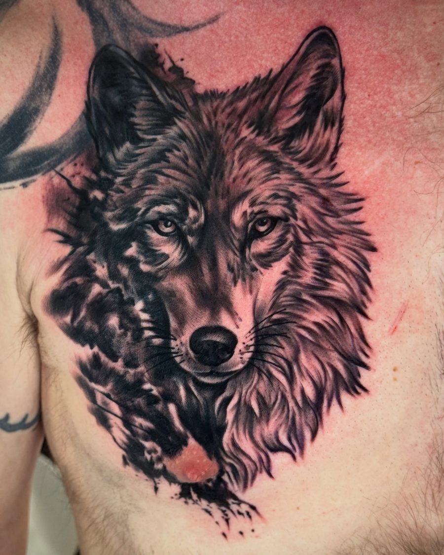 Wolf chest tattoo in black and grey by Jeremy Sramek